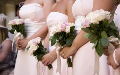 Pink Rose – Perfect happiness
