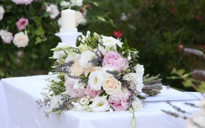 Peonies – Bashful allure