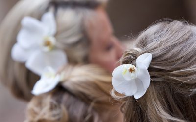 Orchid – Wedding Ecstasy !