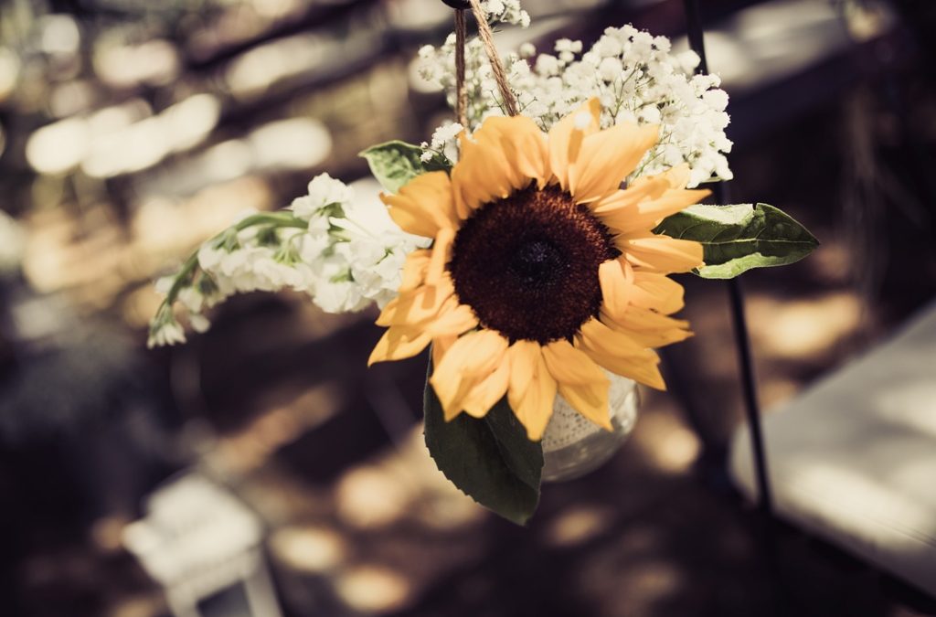 Sunflower – Rustic dream!