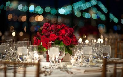 Red rose and Italy, a fiery passionate connection
