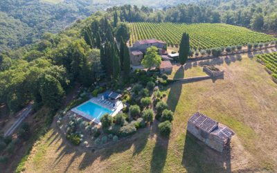 Tenuta Greve